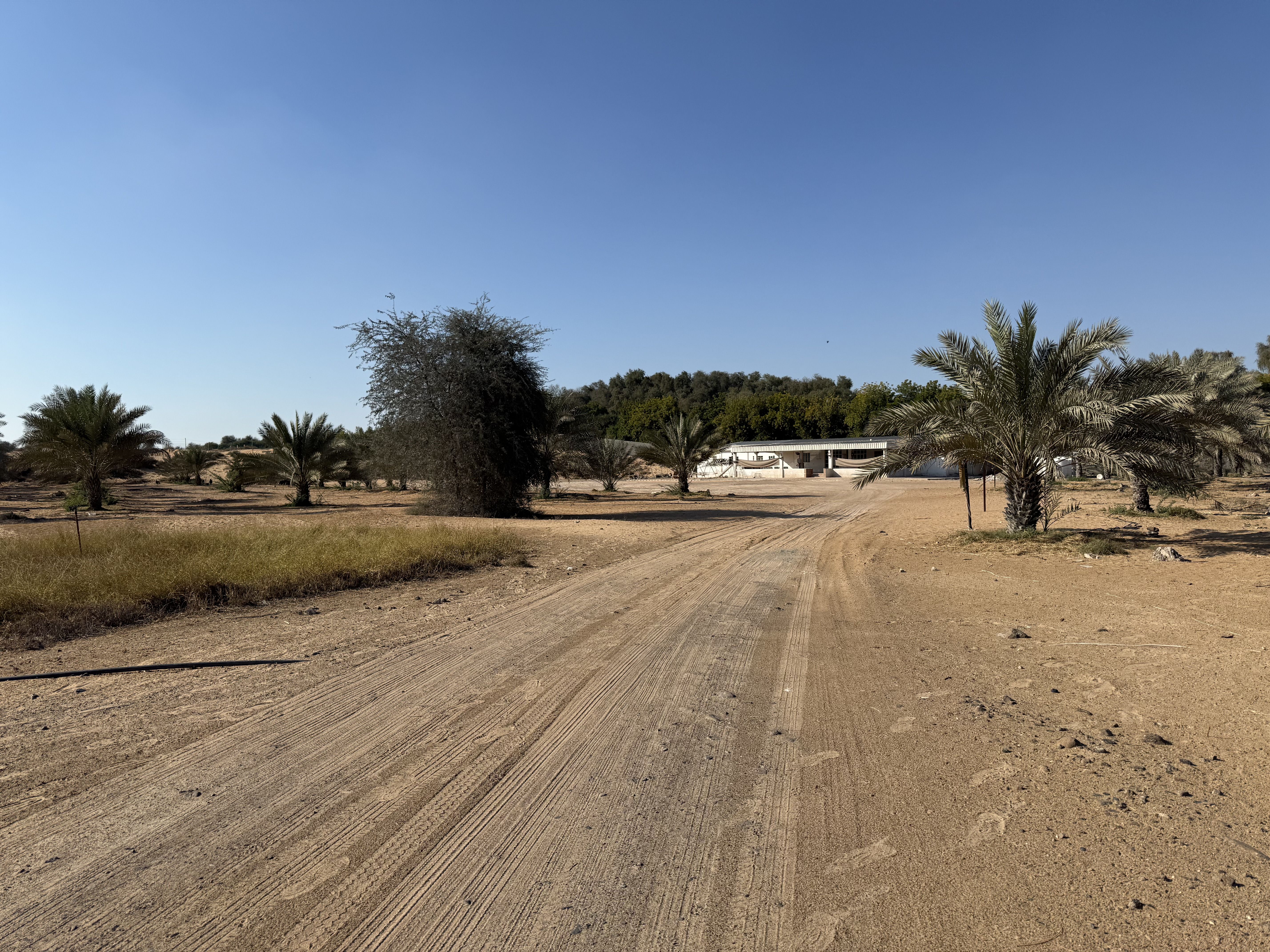 EMIRATES PROPERTIES "Al Zahya H" in Al Heliow