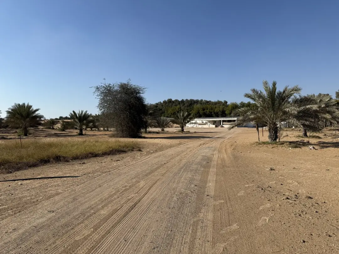 EMIRATES PROPERTIES "Al Zahya K" in Al Heliow